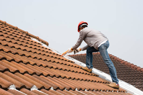 Best Roof Moss and Algae Removal  in Eureka, MT